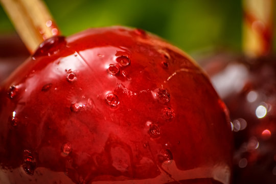 Red Candy Or Toffee Apple With Green Liana Vine In The Background. Close-up.