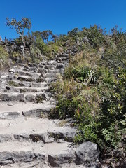 Machupicchu stairs
