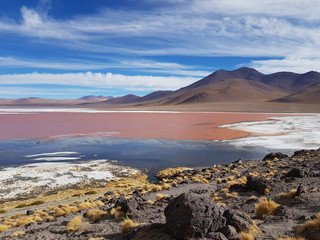 Bolivia National Park Red Lagoon