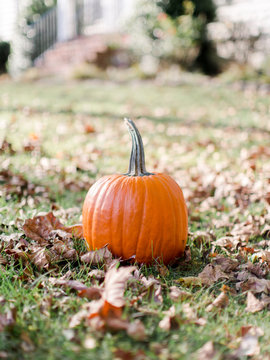 Pumpkin Carving for Halloween