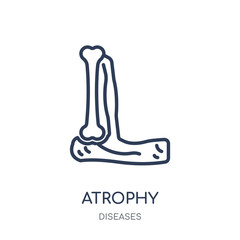 Atrophy icon. Atrophy linear symbol design from Diseases collection.