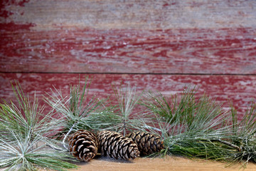 three pine cones with a red barn board background © Blessings Captured