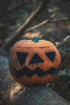 Pumpkin with smoke in the forest

