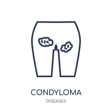Condyloma icon. Condyloma linear symbol design from Diseases collection.