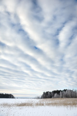 Winter landscape on the shore of a frozen lake.