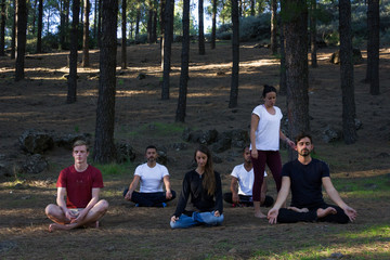 Naklejka premium Multi ethnic group on yoga meditation class following teacher instructions in pine trees forest park. Young woman guiding students on mindfulness exercise. Self connection in nature concept