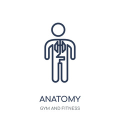 Anatomy icon. Anatomy linear symbol design from Gym and Fitness collection.