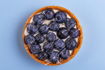 Delicious fresh blueberry tartlet with vanilla cream