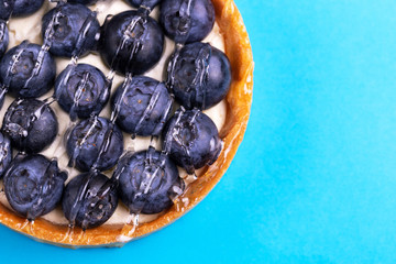 Delicious blueberry tartlet with vanilla cream on bright blue background