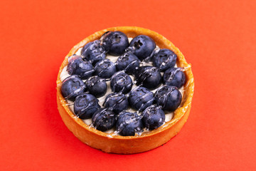 Delicious blueberry tartlet with vanilla cream on bright red background