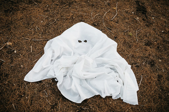 White ghost sheet.