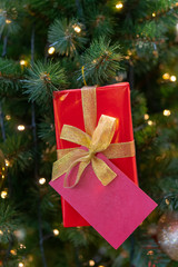 Gift box for Christmas fir.