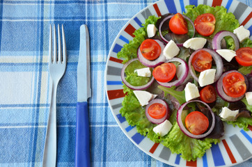 Tomato salad with lettuce, feta cheese and mustard and garlic dressing. Top view