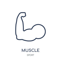 Muscle icon. Muscle linear symbol design from sport collection.