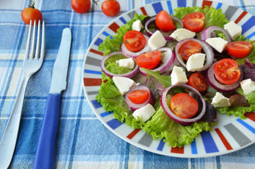 Tomato salad with lettuce, feta cheese and mustard and garlic dressing. Top view