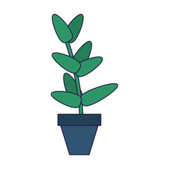 Plant pot isolated