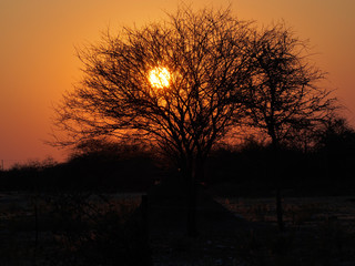 coucher de soleil sur l'Okawengo
