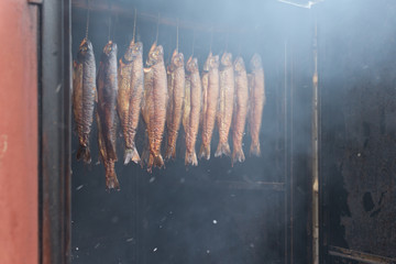 Trout fish hanged in large oven for smoking