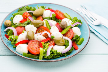 Vegetable salad with cheese mozzarella, tomatoes, basilikum and spice.