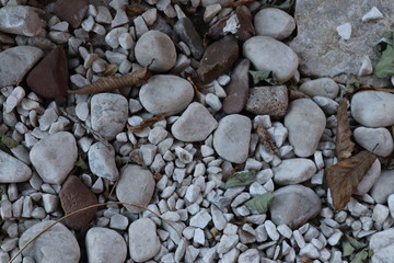 pebbles on the beach