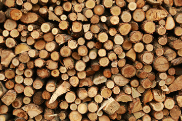 Wood pile reserve for the winter.