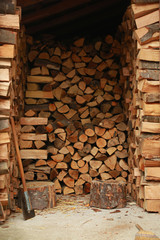 Wood pile reserve for the winter.