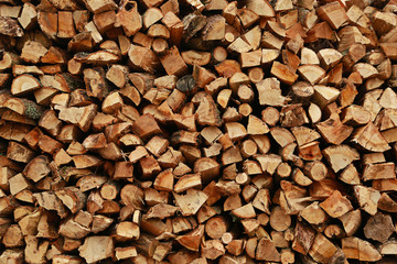 Wood pile reserve for the winter.