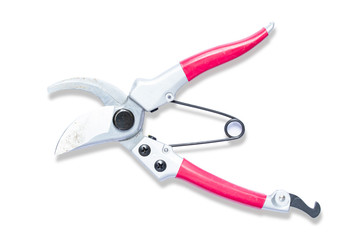 Red pruner isolated on white background