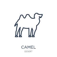 Camel icon. Trendy flat vector Camel icon on white background from Desert collection