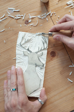 Creation of lino stamp