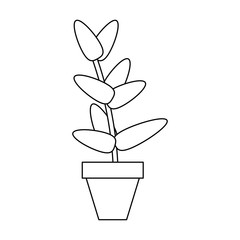 Plant pot isolated black and white