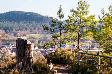 Auf dem Sängerfelsen Dahn