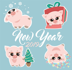 New Year's cute pigs a vector illustration