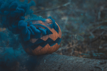 Pumpkin with smoke in the forest
