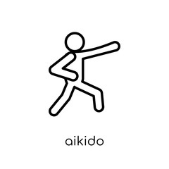 Fototapeta na wymiar aikido icon. Trendy modern flat linear vector aikido icon on white background from thin line sport collection
