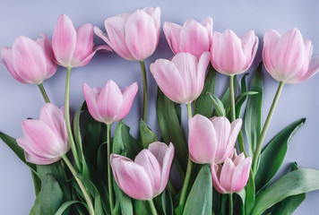 Fototapeta premium Bouquet of Pink tulips flowers over light blue background. Greeting card or wedding invitation. Flat lay, top view, copy space