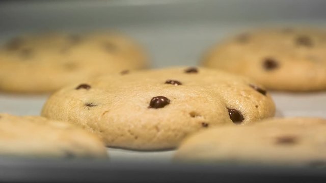 Chocolate Chip Cookies Baking In Oven Time Lapse