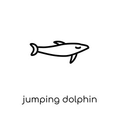 Jumping Dolphin icon from Summer collection.