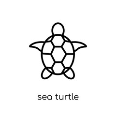 Obraz premium Sea turtle icon from Summer collection.
