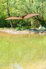 swans and flying dinosaur the Kryptodrakon © Marco