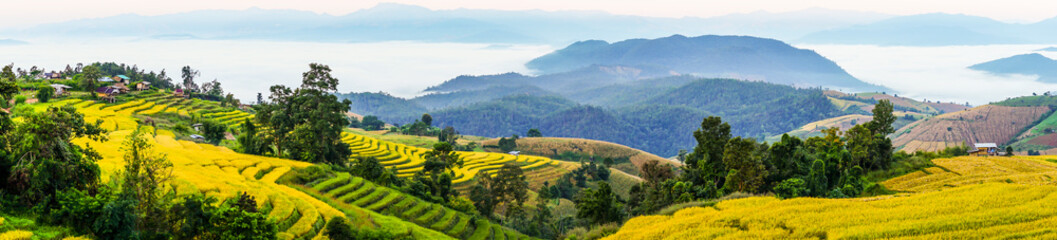 Obraz premium Beautiful landscape of sunrise over the green paddy field
