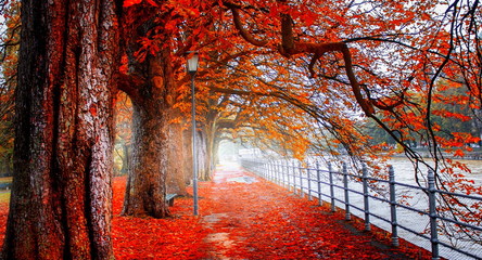 autumn in the park