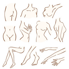 女性　線画ボディーパーツ　セット