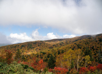 Japan Nagano Ryuou mountain park