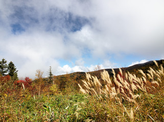 Japan Nagano Ryuou mountain park