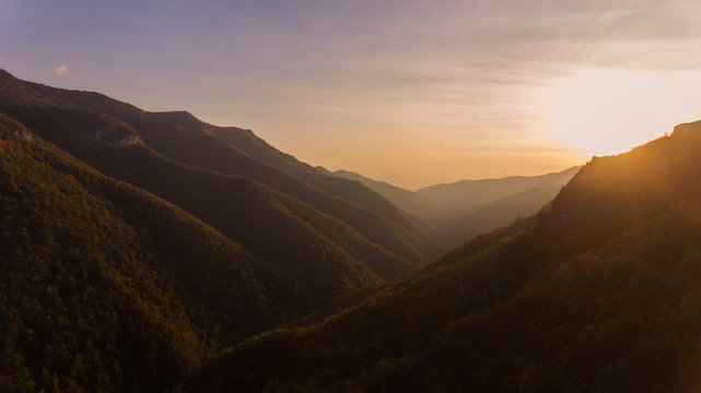 Colourful forest at fall