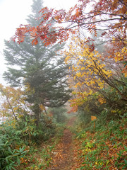 Japan Nagano Ryuou mountain park