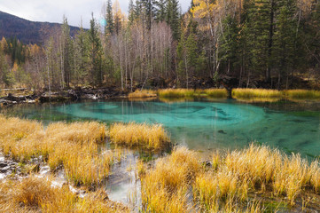 Beautiful Geyser Lake with blue clay in autumn, Altai,Russia.