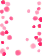 Pink rose petals falling vector valentine background.