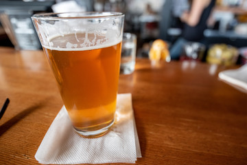 a pint of beer sits at a bar